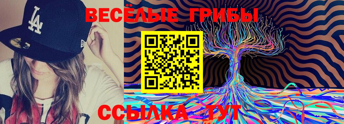 Псилоцибиновые грибы Psilocybine cubensis Усинск